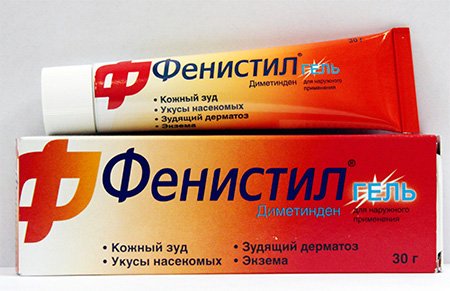 Кусаються домашні таргани і як виглядають їхні укуси