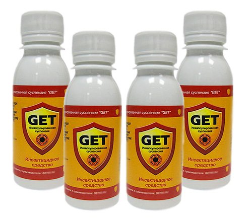 Знищення комах в квартирі: що важливо знати про цю процедуру