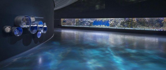 Наливна підлога своїми руками: особливості та технологія монтажу Наливна підлога своїми руками: особливості та технологія монтажу