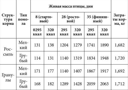 Відгодівлю бройлерів в домашніх умовах