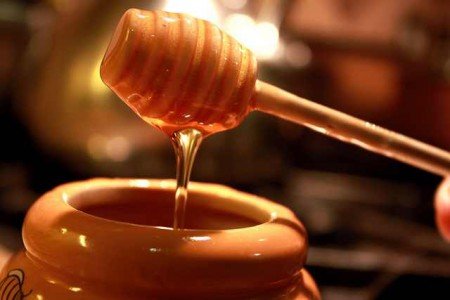 Конюшиновий мед: корисні і лікувальні властивості