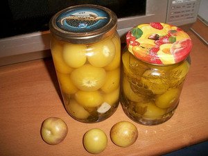 Як виростити фізаліс овочевий з насіння на дачі і в домашніх умовах?