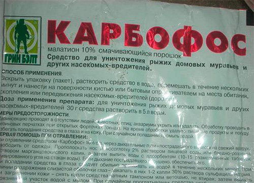 Боротьба з постільними клопами в квартирі: основні методи, засоби і правила