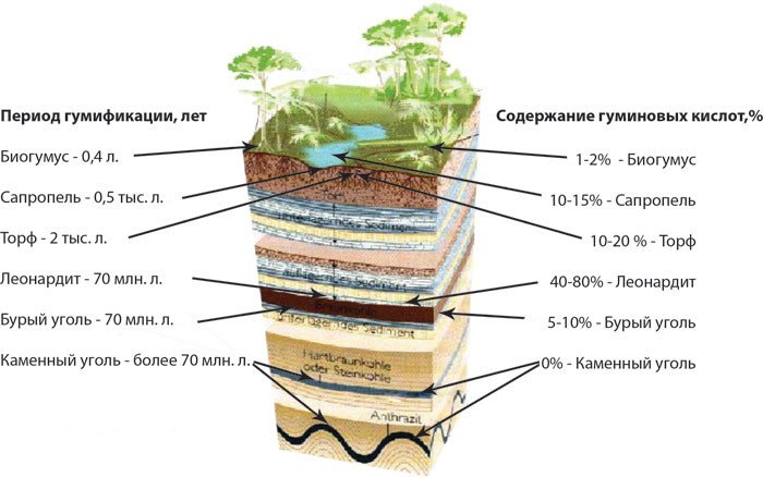 Інструкція по застосуванню добрива гумат калію рідкий торфяний