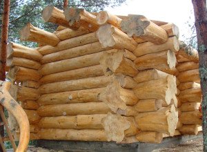 Будинки з бруса і колоди: характеристики будматеріалів і готових будівель