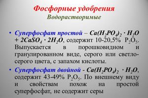 Інструкція по застосуванню суперфосфату в якості добрива