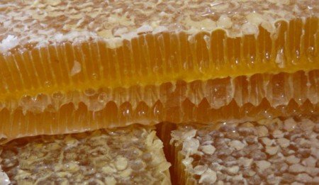 Що таке бджолиний забрус та його застосування
