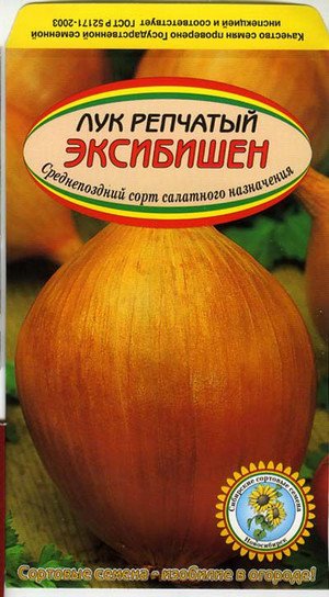 Особливості вирощування цибулі Эксибишен через розсаду з насіння (фото і відео поради)