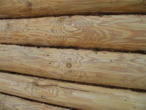 Як позбутися від короїда в деревяному будинку. Методи захисту деревини. Підготовка пиломатеріалів до будівництва. Боротьба з жуком у експлуатованому будинку Як позбутися від короїда в деревяному будинку. Методи захисту деревини. Підготовка пиломатеріалів до будівництва. Боротьба з жуком у експлуатованому будинку