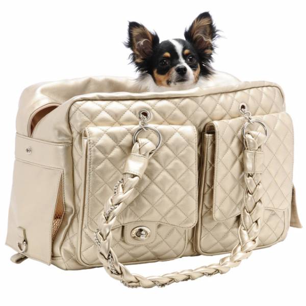 Сумка переноска для собак: огляд різновидів