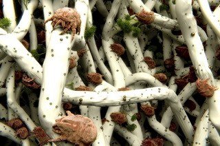 Астма   причини, симптоми, лікування народними засобами