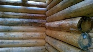 Захист деревяного будинку від вогню, вологи та плісняви, комах та гризунів