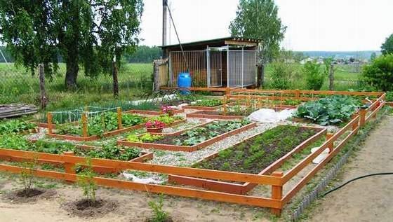 Сад і город: стильний дизайн
