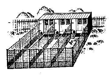 Будівля пташника | Споруда курника Будівля пташника | Споруда курника