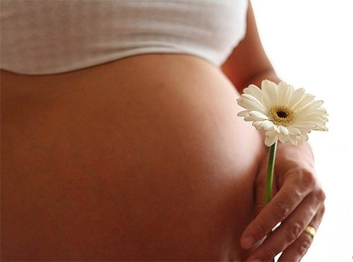 Укус оси при вагітності та при грудному вигодовуванні: наскільки це небезпечно?