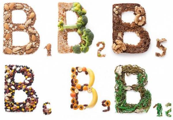 Вітаміни для собак   все що потрібно про них знати