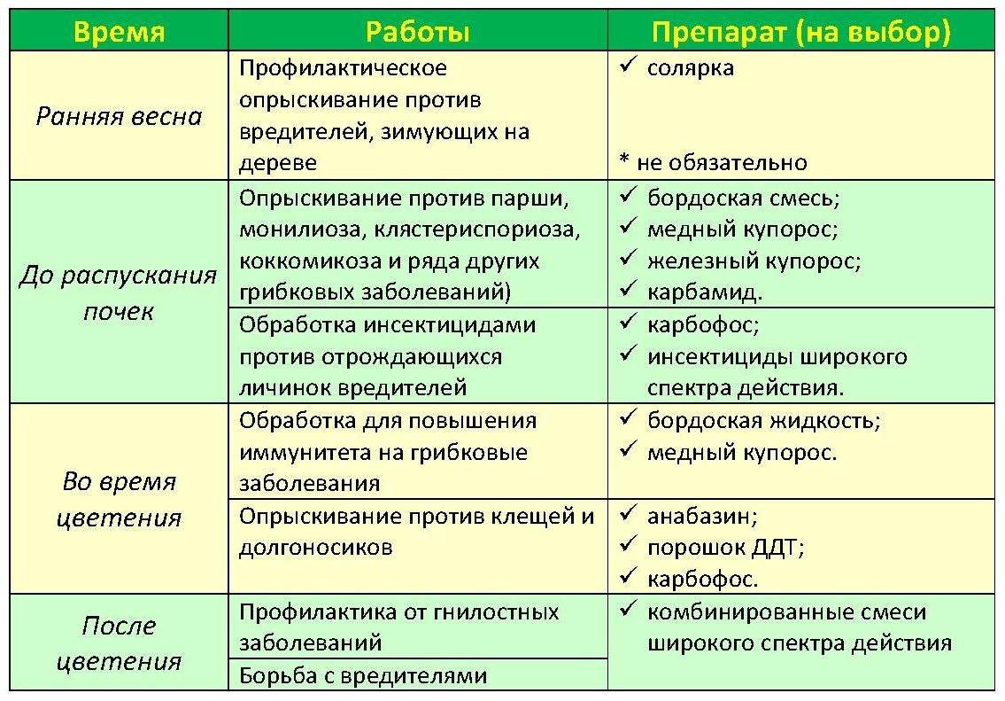 Обприскування плодових дерев і чагарників навесні після цвітіння