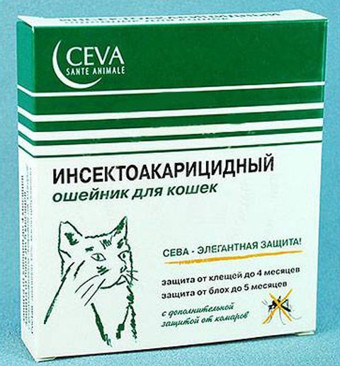 Ошийник від бліх для кішок   характеристики та правила застосування