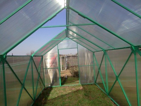 Створення теплиці з полікарбонату своїми руками з нуля Створення теплиці з полікарбонату своїми руками з нуля