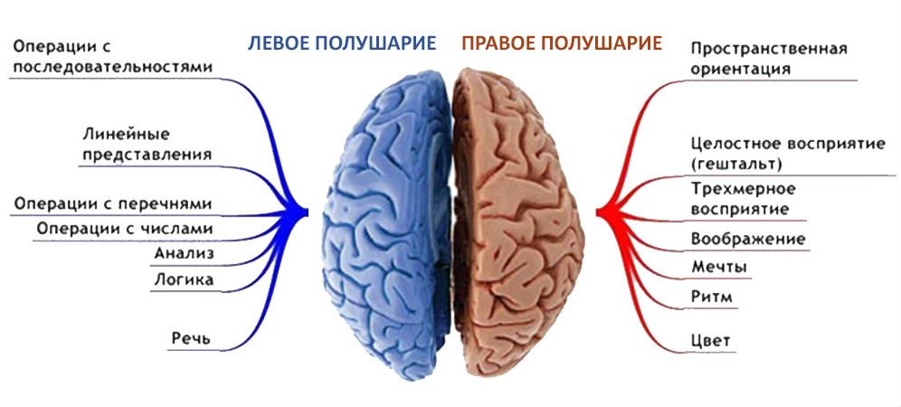 Лівобічний ішемічний інсульт: особливості та наслідки