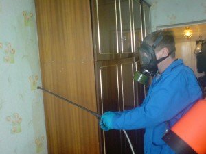 Дезінфекція клопів службами: вартість, ефективність, відгуки