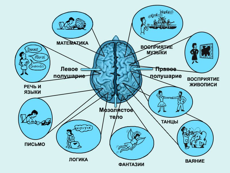 Коли виникає параліч лівої сторони при інсульті