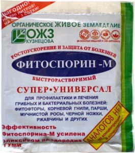 Вирощування цвітної капусти у себе на дачі з насіння