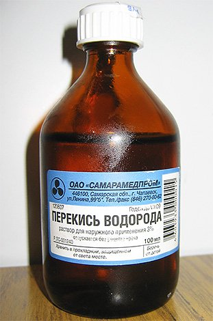Як позбутися від шершнів і ос: швидко і безпечно
