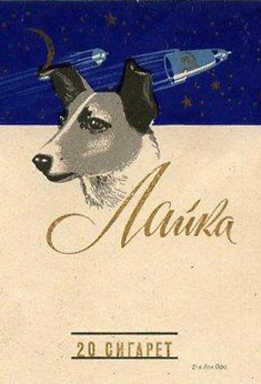 Собаки космонавти: чотирилапі герої ХХ століття