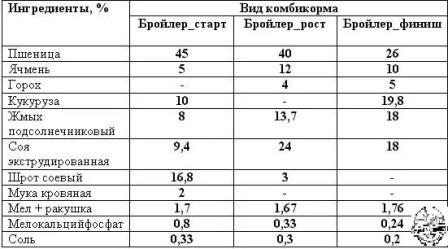 Відгодівлю бройлерів в домашніх умовах