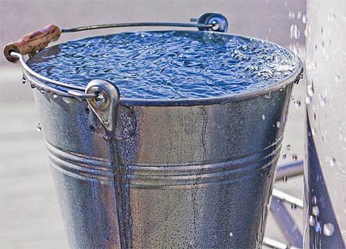 Кошти від ос і шершнів: як і чим можна ефективно вбити цих комах