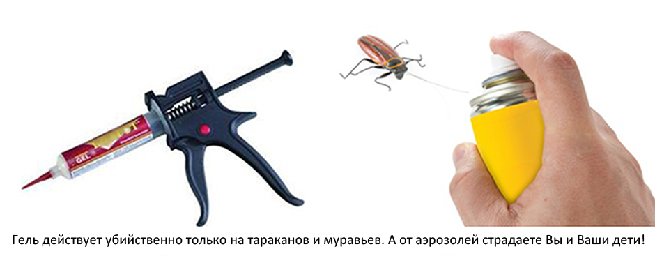 Як вивести тарганів з квартири назавжди: що робити, чим вивести, кращі методи: опис, відгуки
