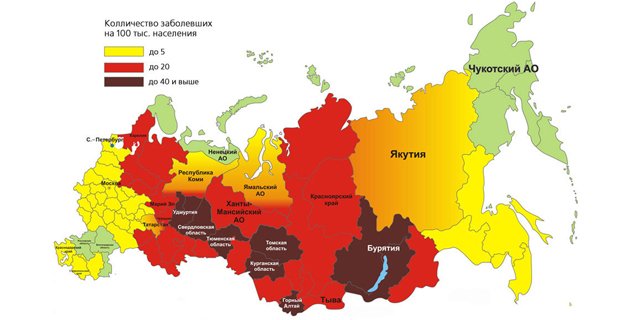 Енцефалітний кліщ: фото як виглядає, звідки зявився, де мешкає