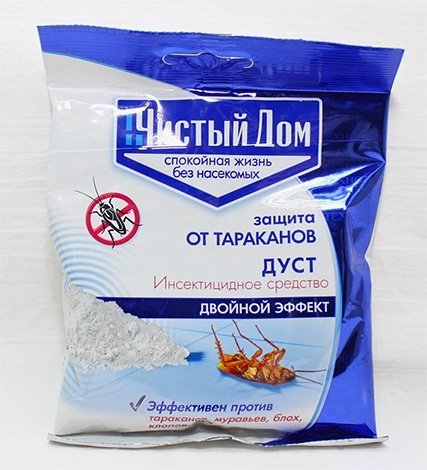 Звідки беруться домашні мурахи і чи варто їх боятися