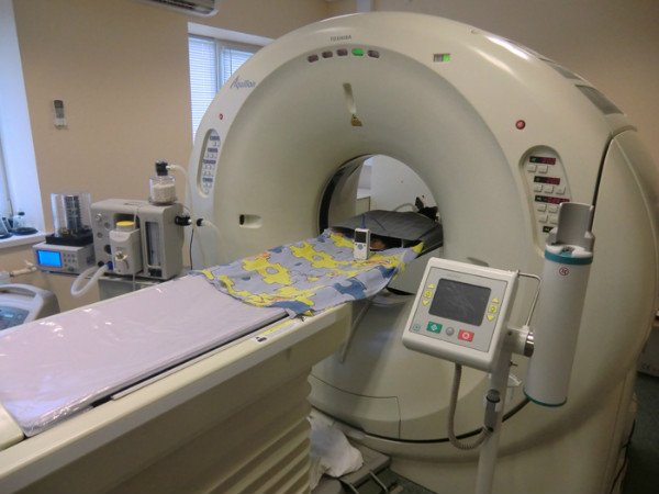 Міжхребцева грижа у собак: причини, симптоми, діагностика, лікування