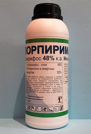 Засоби від бліх у квартирі: чим і як ефективно боротися в будинку з блохами