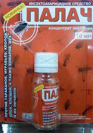 Знищення клопів у квартирі: ефективні методи та засоби