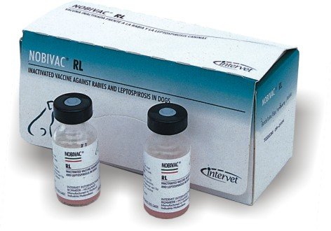 Нобівак для собак   огляд групи вакцин