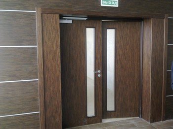 Маятникові двері: міжкімнатні, для ресторанів