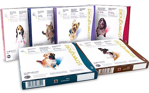 Засоби від бліх для собак і цуценят: вибираємо ефективний препарат