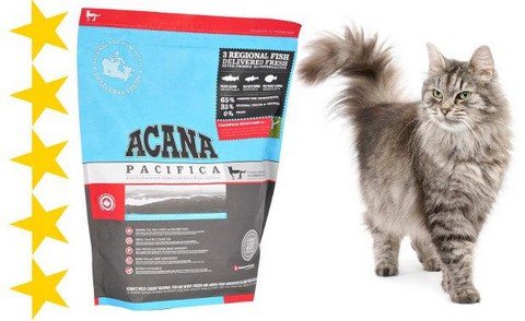 Корм Акана – продукт холистик класу для вашої кішки