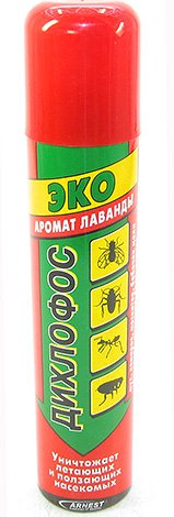 Як убити гнид і вошей: знищуємо паразитів правильно