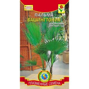 Вирощування і догляд в домашніх умовах за пальмою Вашингтония