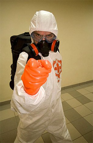 Як і чим морити тарганів Як і чим морити тарганів