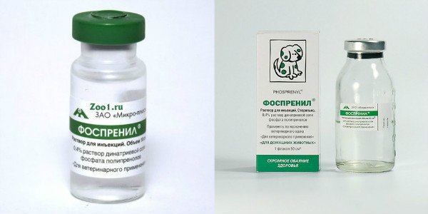Фоспреніл для собак: опис і способи застосування