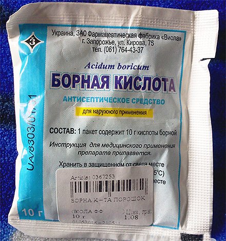 Знищення клопів і тарганів у квартирі: боремося з комахами правильно