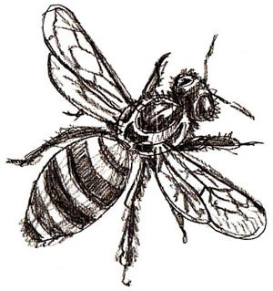 Бджола картинки для дітей