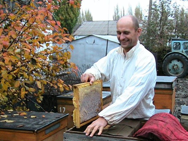 Повний відео курс по бджільництву від Кривчикова