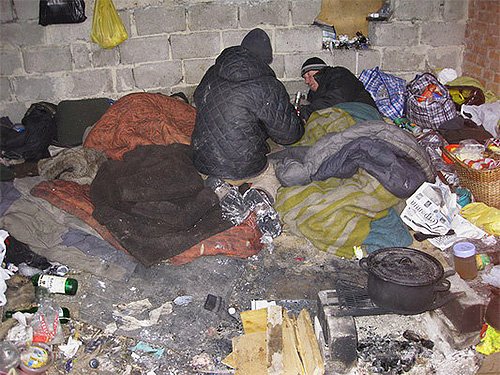 Підвальні блохи в квартирі і як їх вивести