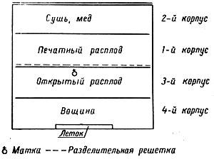 Багатокорпусні вулики своїми руками на рамку 145 і 230 (фото)